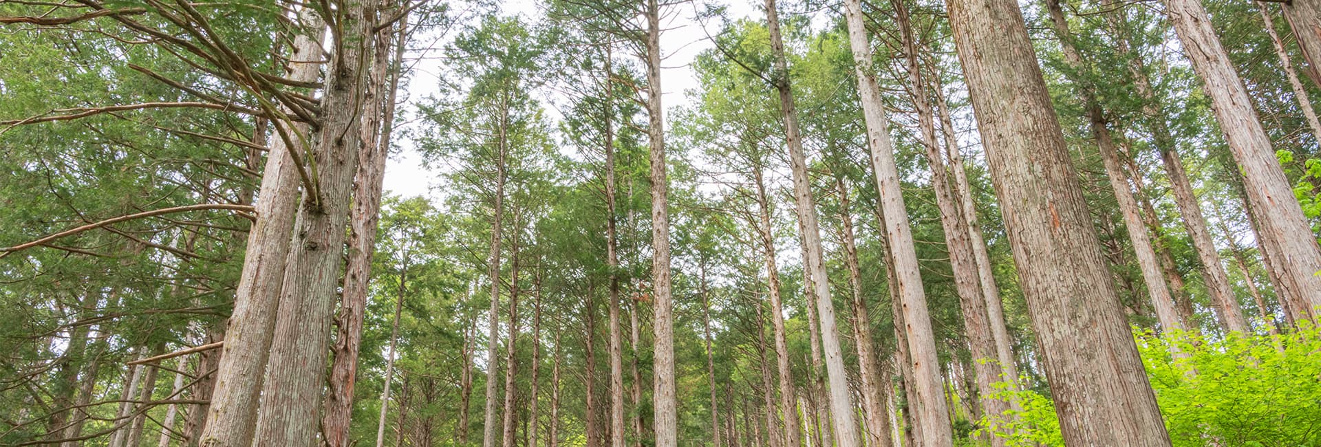 深呼吸したくなる、健やかな暮らしを。